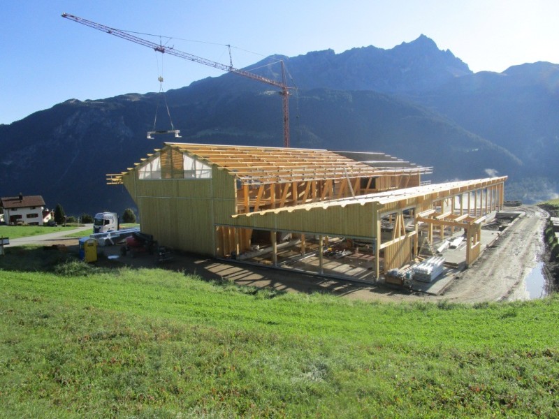 Neubau Stall, Parsonz